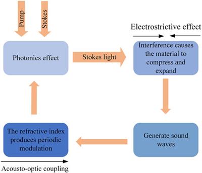 High-gain lithium niobate brillouin laser with tunable phonon frequency of 1∼31 GHz 